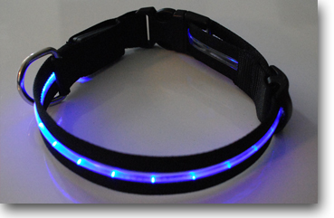 LED Haldband für den Hund